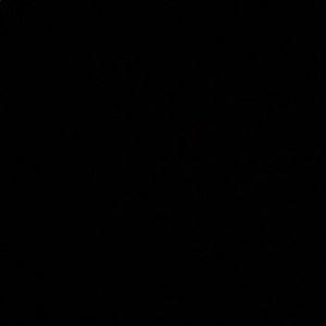 Meet your Posher, Jesus